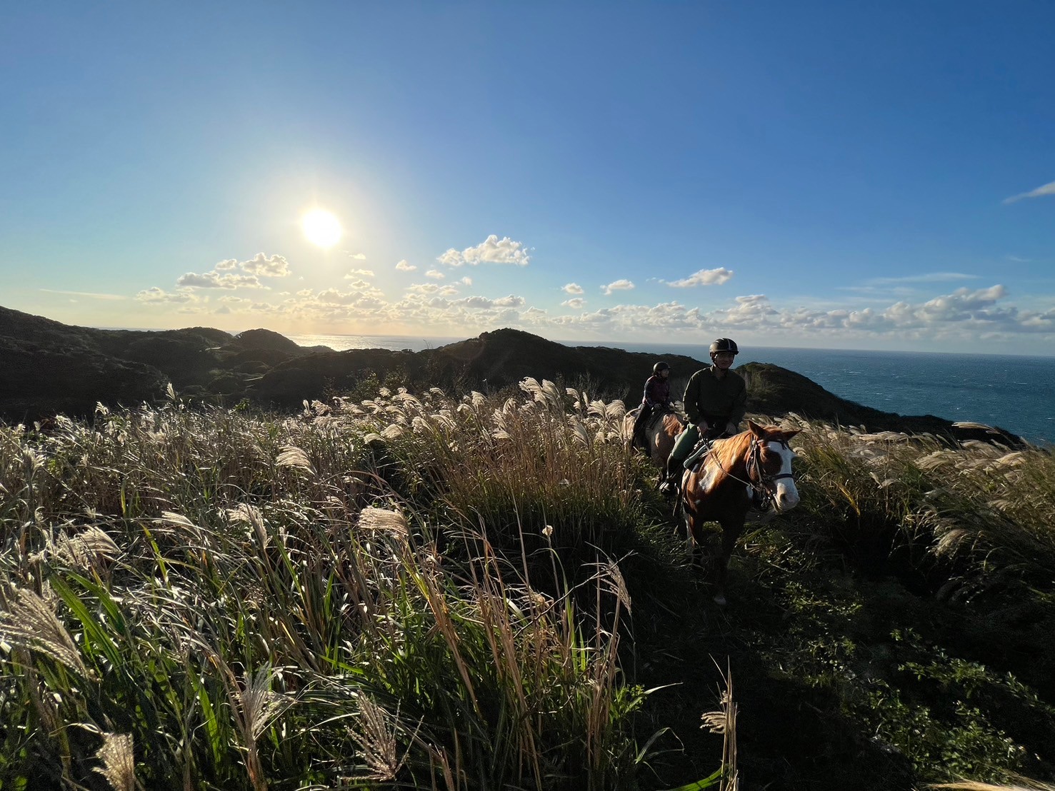 LINE_ALBUM_じゃらん掲載画像_240812_48