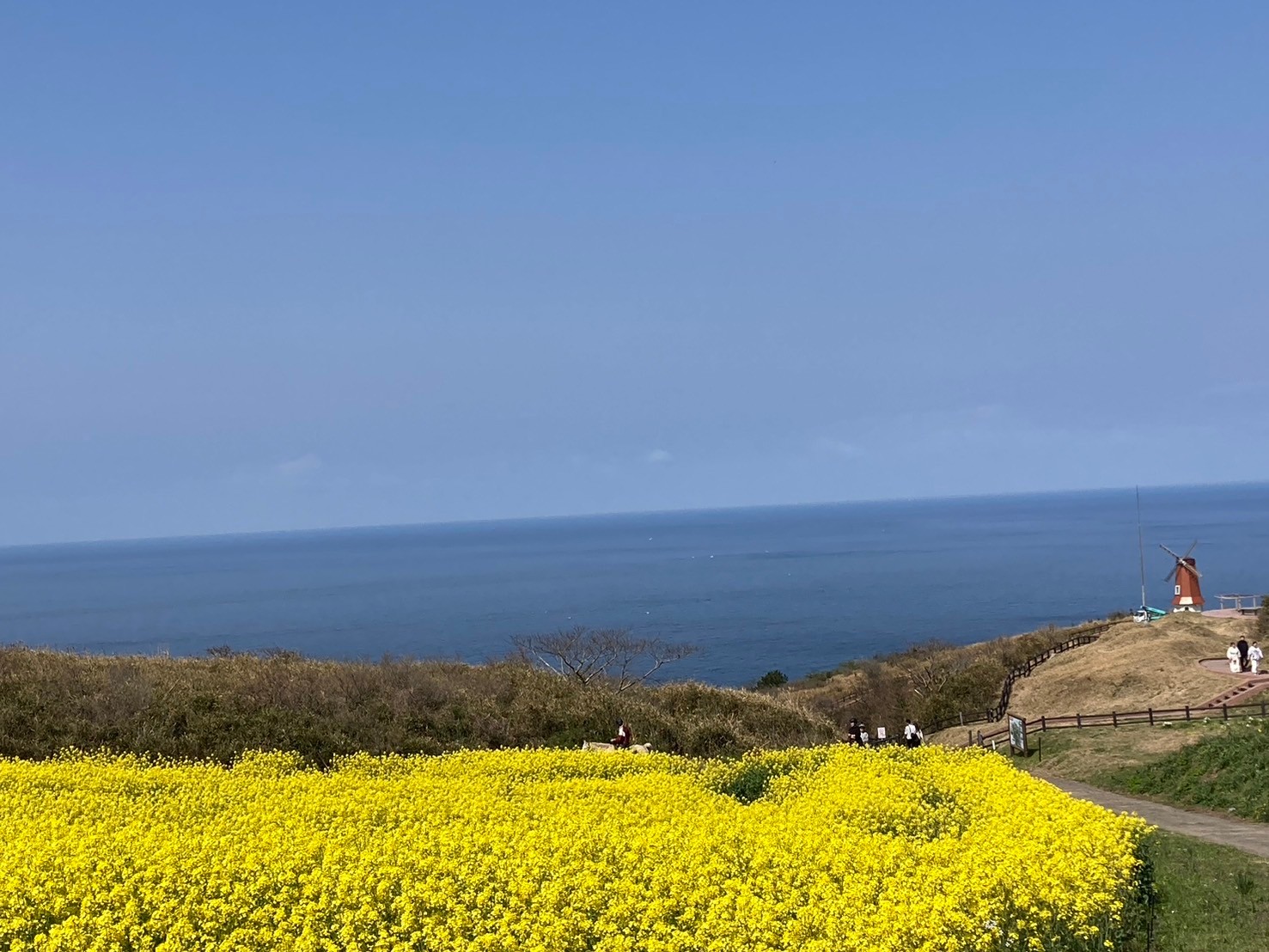 LINE_ALBUM_じゃらん掲載画像_240812_53