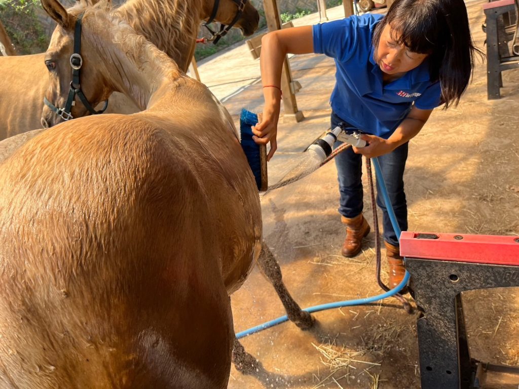 LINE_ALBUM_調教写真_241122_6