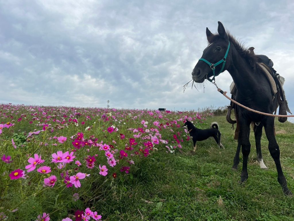 LINE_ALBUM_調教写真_241122_8